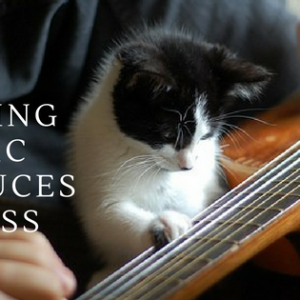 making-music-reduces-stress making-music-reduces-stress